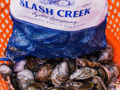 Bag labeled SLASH CREEK in orange crate filled with harvested oysters