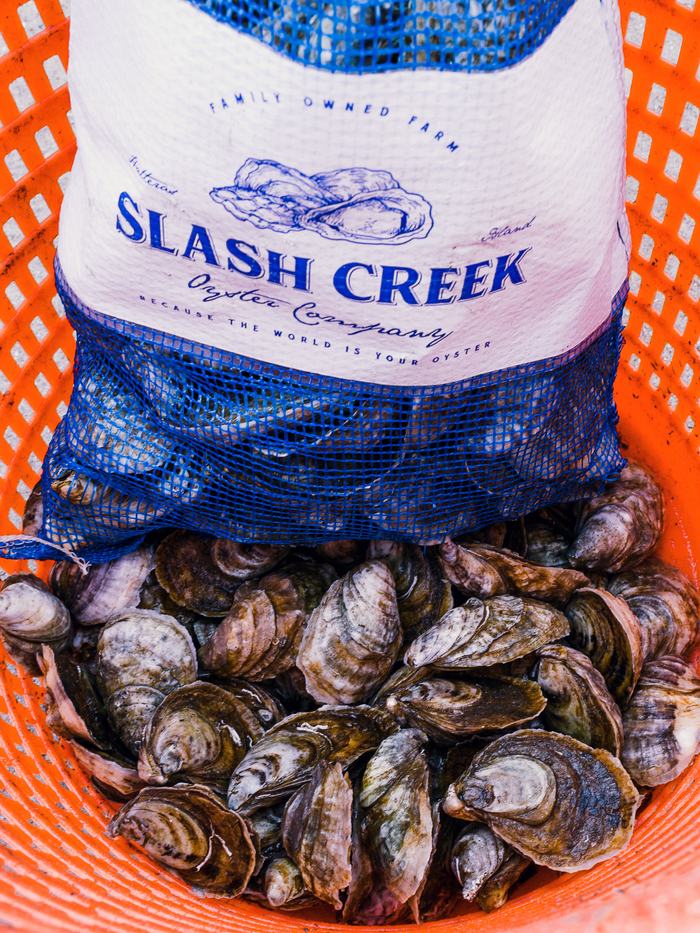 Bag labeled SLASH CREEK in orange crate filled with harvested oysters