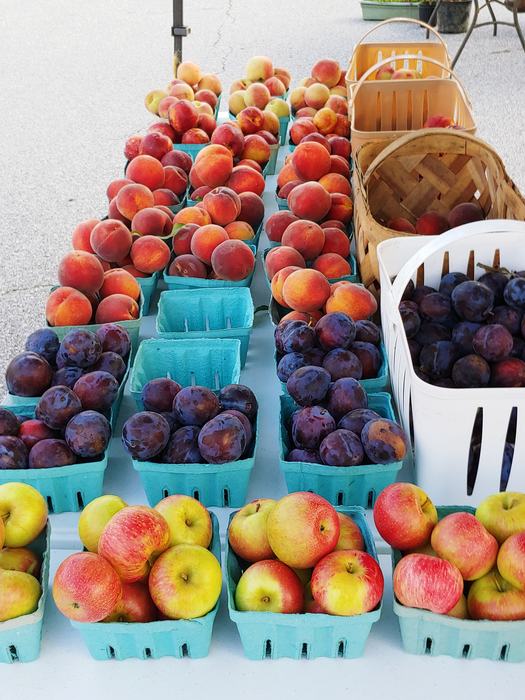 Picture of fruit on table 