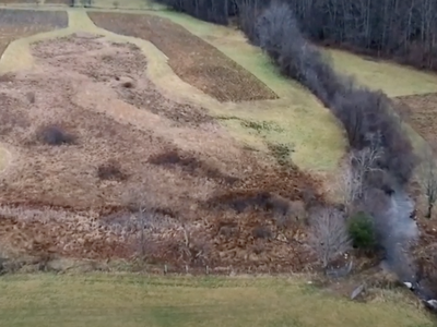 Aerial view of grassy and brown fields with a winding stream and adjacent leafless trees