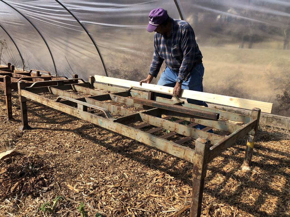 man building raised beds in a hoop house