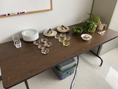 Table with plates, tortillas, small bowls of oil and spices, a bowl of limes and fresh herbs