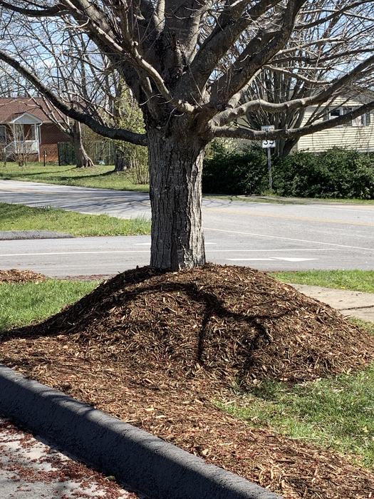 volcano mulch
