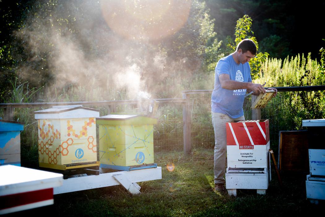 Beekeeping Photo