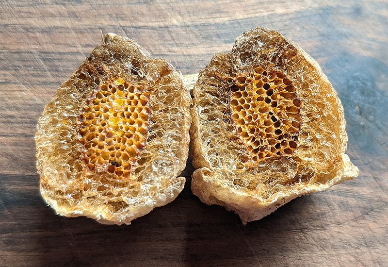 Two dried bird's nest halves showing honeycomb-like interior on wooden board