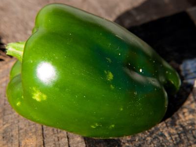 Stink bug feeding damage on bell pepper.