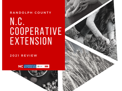 pictures in a pie shape representing the slices of extension programming.