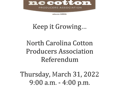 NC Cotton Producers Association referendum notice: March 31, 2022, 9:00 a.m.–4:00 p.m.