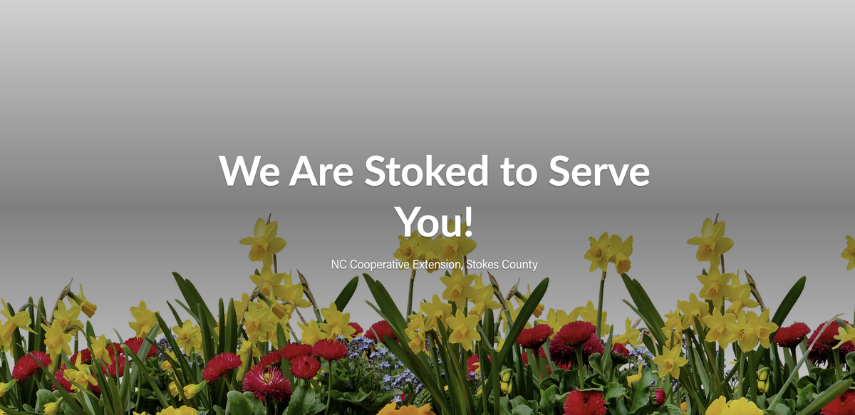 Yellow daffodils and red flowers with text "We Are Stoked to Serve You!"