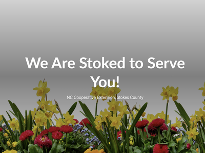 Yellow daffodils and red flowers with text "We Are Stoked to Serve You!"