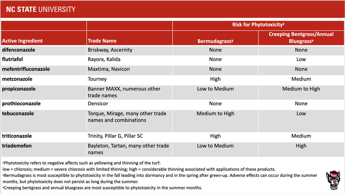 NC State table: fungicide actives and phytotoxicity risk for bermudagrass and bentgrass