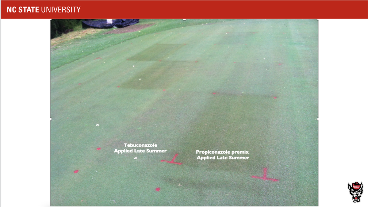 Golf green with red marks and labels: 'Tebuconazole' and 'Propiconazole premix' applied late summer