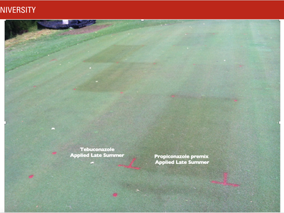 Golf green with red marks and labels: 'Tebuconazole' and 'Propiconazole premix' applied late summer