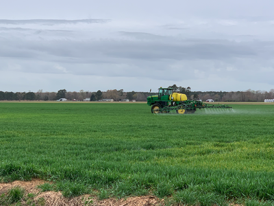 Green self-propelled sprayer applying crop spray across a green field