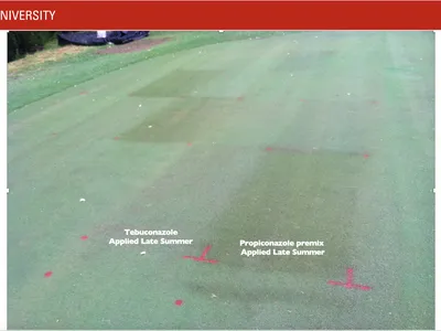 Golf green with red marks and labels: 'Tebuconazole' and 'Propiconazole premix' applied late summer