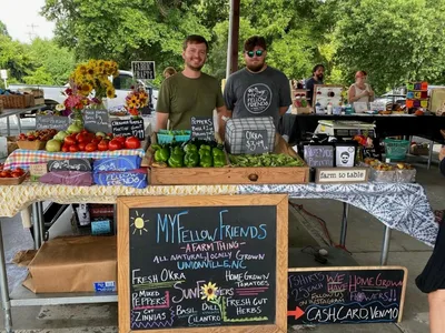 Small Farms in Union County, North Carolina Small Farms, Small Farmers, Support Local, Shop Local, NC Cooperative Extension, How to Grow Vegetables, How to Farm in NC, How to Start a Farm, How to Become a Farmer, North Carolina Growers, North Carolina, Ky