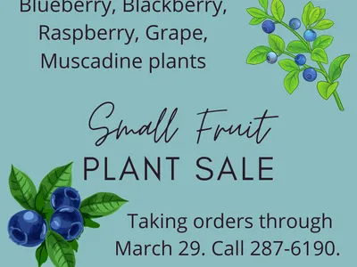 2022-03-Small-Fruit.png
