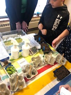 Students filling plastic plant cells with dirt and then adding seeds