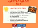 Sweetpotato fries
