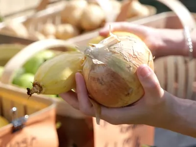 Farmers Market Near Me, Fresh Produce Near Me, We Grow Union County, Farmers Market Charlotte, Charlotte NC, North Carolina,
