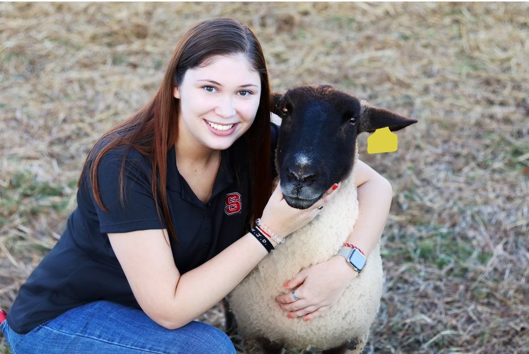 Woman crouching outdoors hugging a black-faced sheep with a yellow ear tag