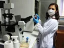 STEM