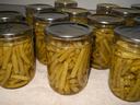 canned green beans