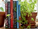 Potted trailing plant beside gardening books: Wilder Life; The Herbal Apothecary; The Flower Workshop