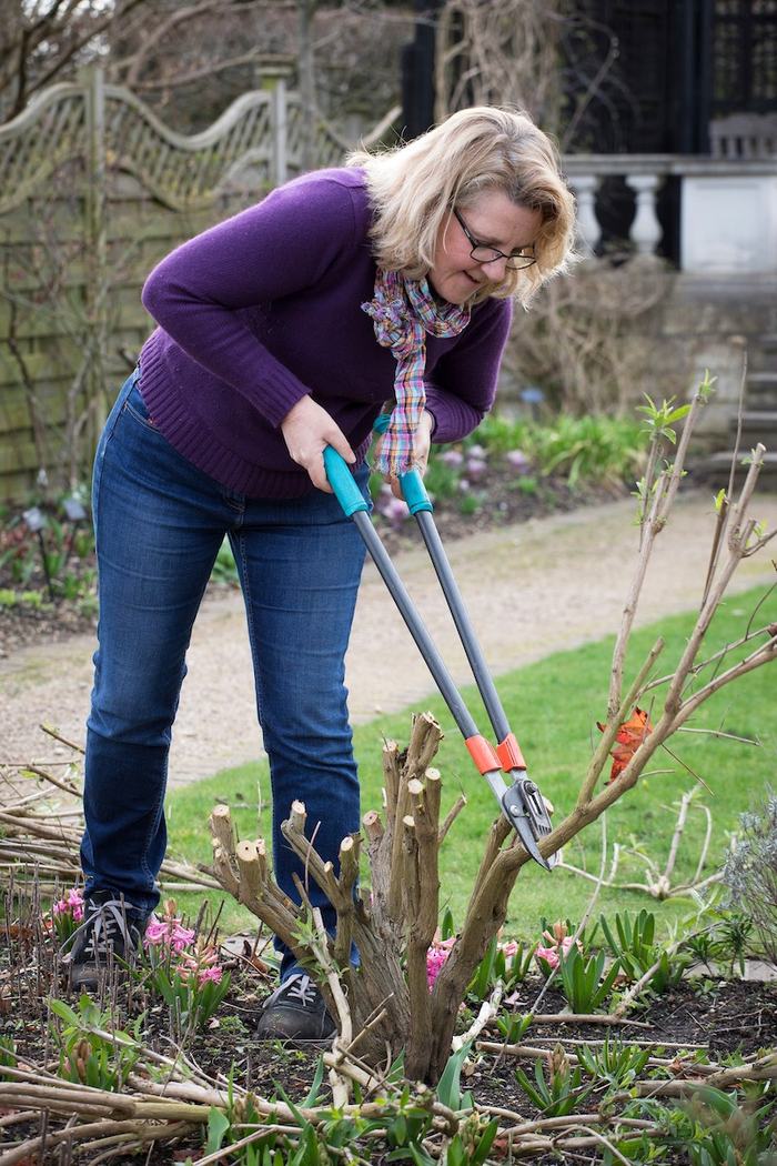 lady pruning bushes
