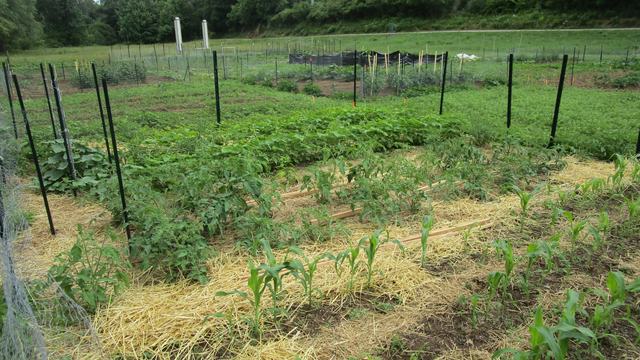 Macon Community Garden Plot