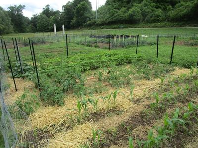Macon County Community Garden