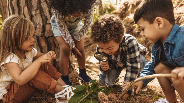 Children in forest looking at leaves with the magnifying glass.