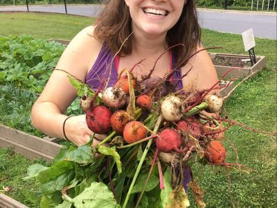 Person holding a large bunch of freshly harvested beets with dirt-covered roots and green leaves.