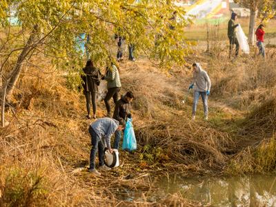 Volunteers picking up litter along a grassy pond bank with trash bags