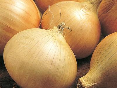 walla walla onions