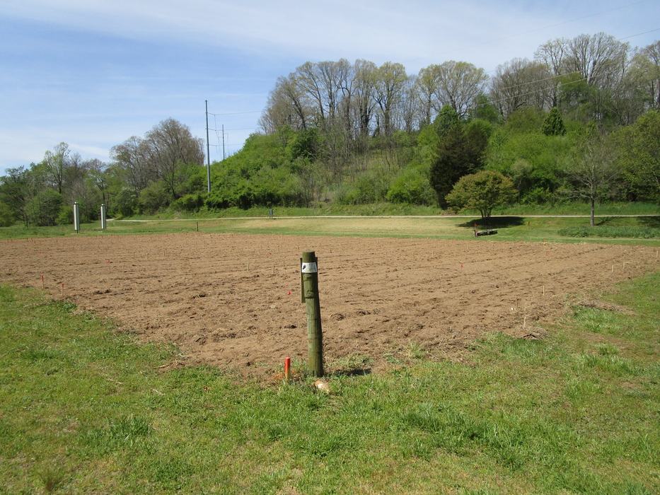 Macon Community Garden