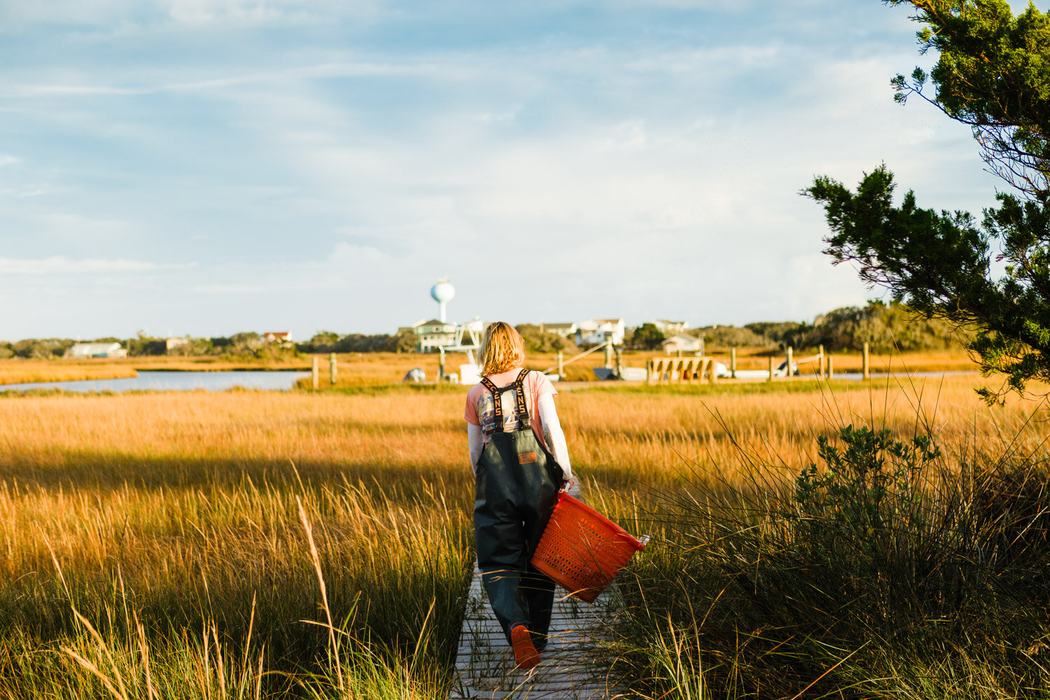 Person in waders carrying orange basket walking on boardwalk through marsh toward waterfront