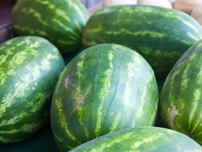 Several whole green watermelons with striped rinds arranged on a surface