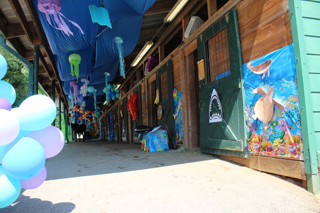 Barn aisle with decorated horse stalls, ocean-themed posters, hanging jellyfish and balloons