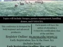 flier
