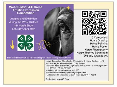 4-H Horse Artistic Expression Link