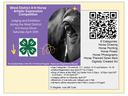 4-H Horse Artistic Expression Link