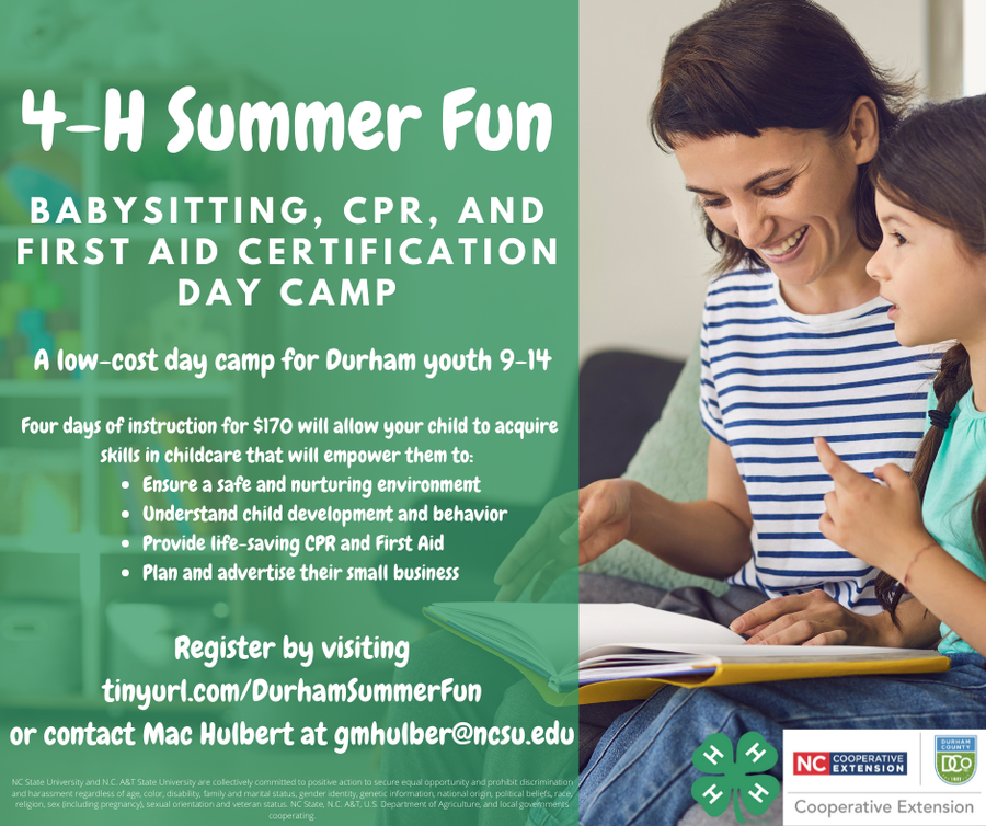 4-H Summer Fun