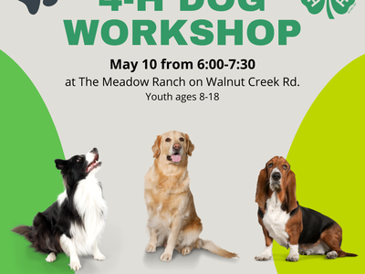 4-H Dog Workshop Flier