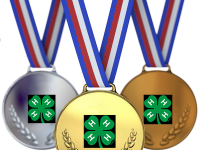 Gold, silver, and bronze medals with red-white-blue ribbons, each showing green 4‑H clover logo