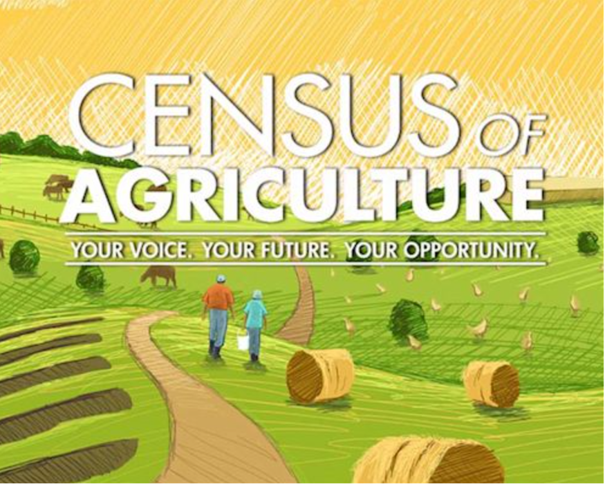 Census of Agriculture