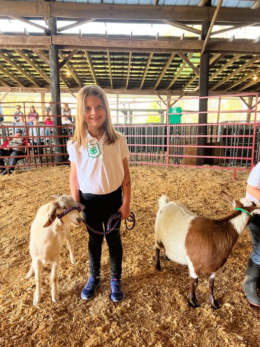 Girl showing goat