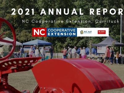 red tractor and blue tents with people for our farm festival