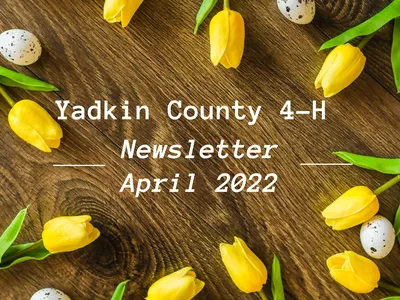 April Yadkin County 4-H Newsletter promotion.
