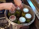 Hands placing sealed jars of green beans into a pot for water-bath canning.